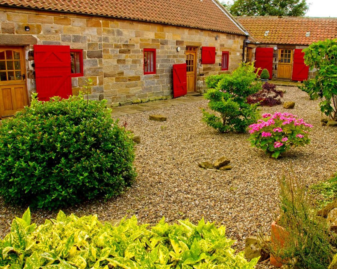 Rosecombe, Borrowby Farm Cottages Staithes Exterior foto